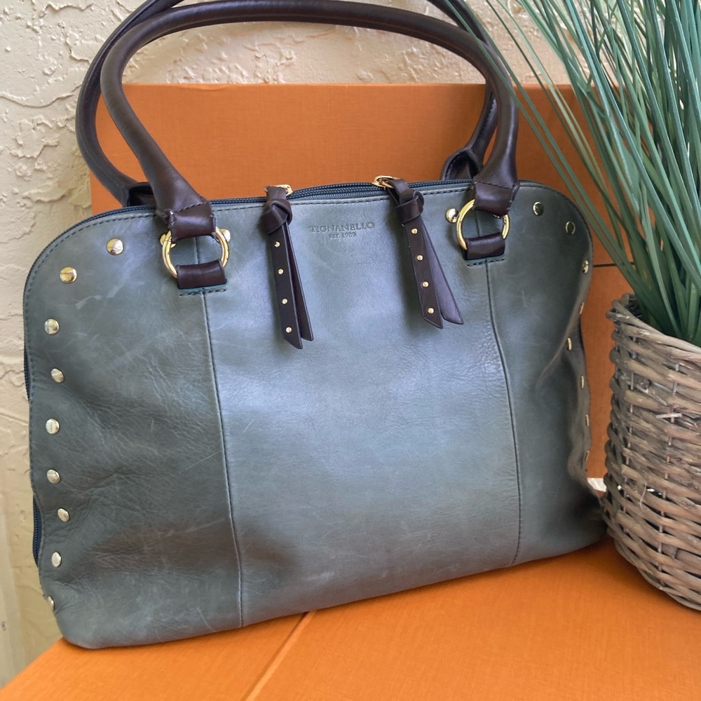 Tignanello Green and Brown Shoulder Bag